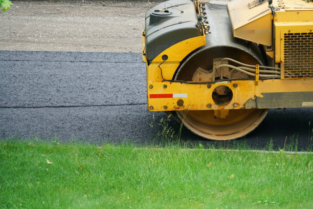 Driveway Maintenance Services in Rio Hondo, TX